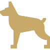Fjernelse af dyrehår<br> <strong>249</strong> kr.